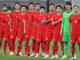 他已在国内